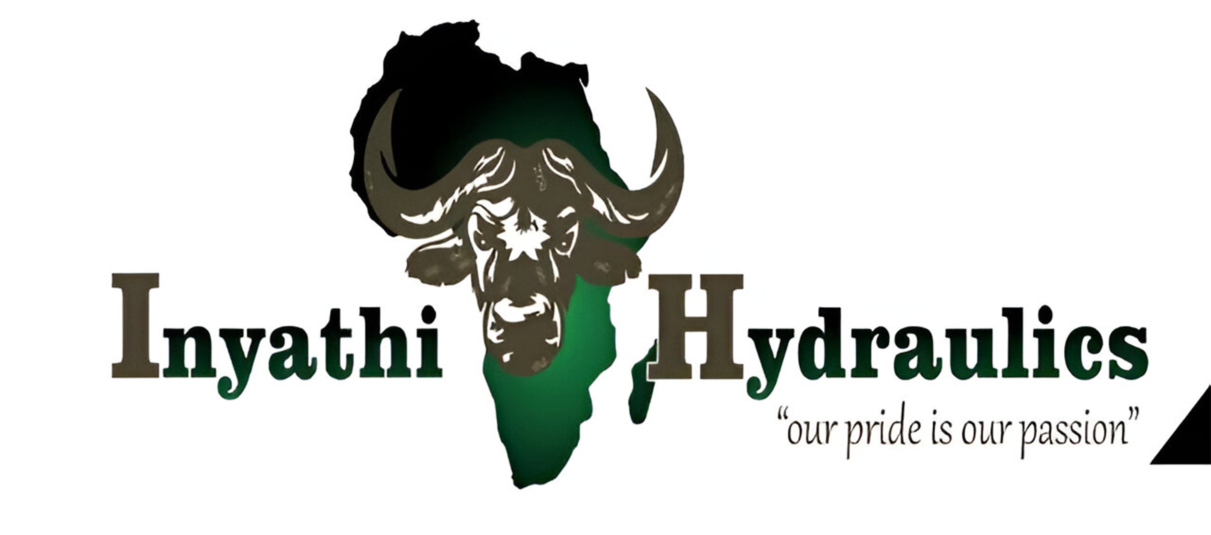 Inyathi Hydraulics & Engine Services - Mining Equipment Hydraulic Repairs